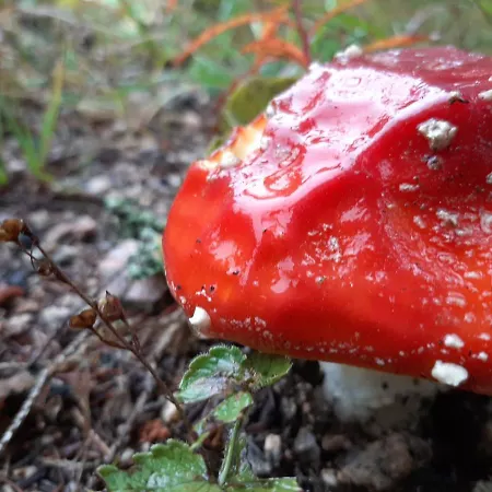 & Fewo's Talblick 3*