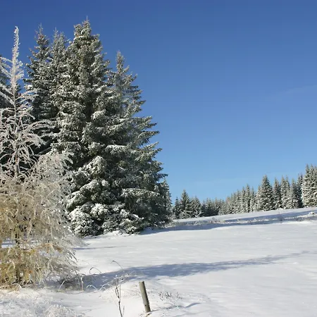 & Fewo's Talblick Weitersglashütte