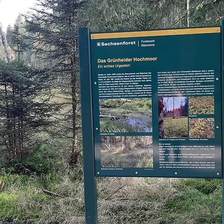 & Fewo's Talblick 3* Weitersglashütte