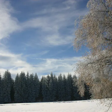 招待所 & Fewo's Talblick