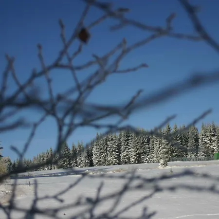 招待所 & Fewo's Talblick