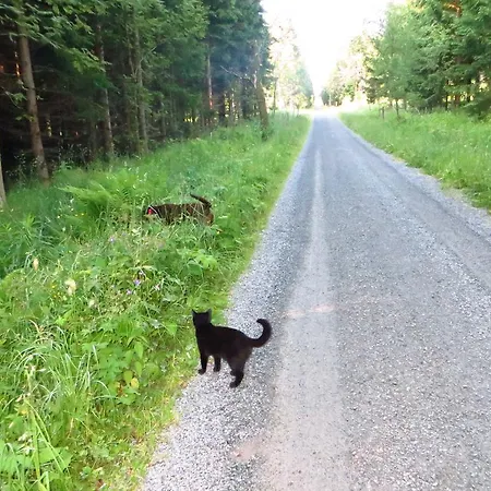 招待所 & Fewo's Talblick Weitersglashütte