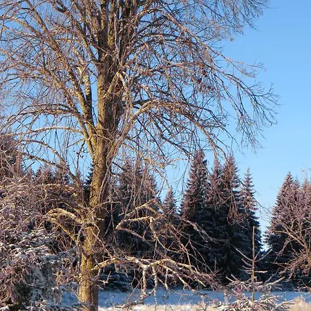 招待所 & Fewo's Talblick 3*