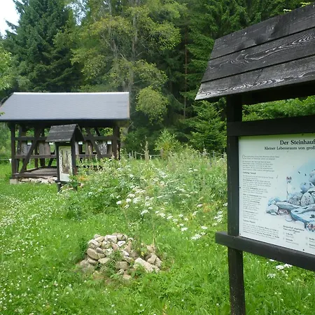 & Fewo's Talblick Weitersglashütte