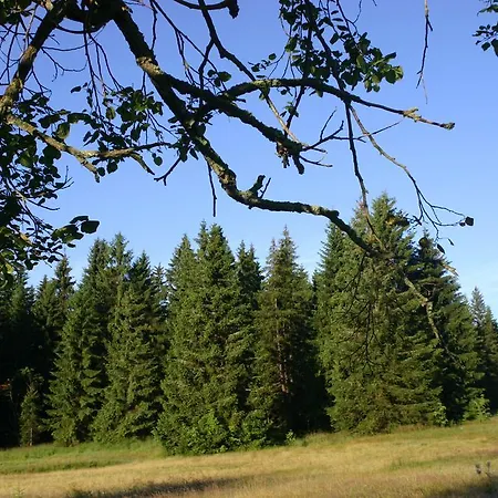 招待所 & Fewo's Talblick