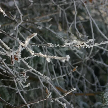 招待所 & Fewo's Talblick Weitersglashütte