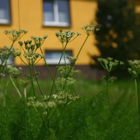 & Fewo's Talblick 招待所 Weitersglashütte